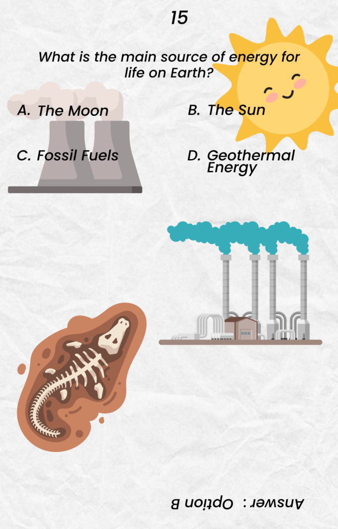 CMV Quiz Book - Image 4