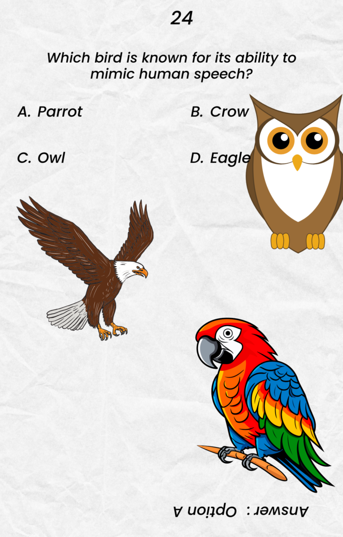 CMV Quiz Book - Image 3